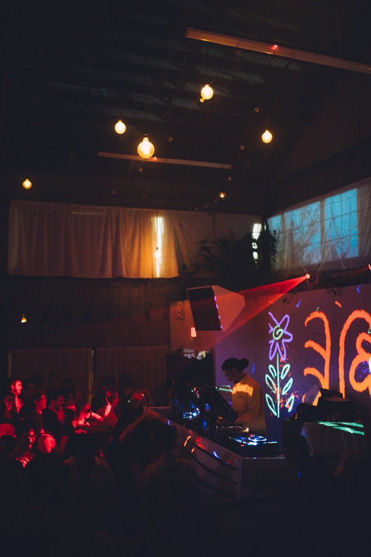 Mike Dunn - Holocene room, flower projection - photo by Drew Cornwall