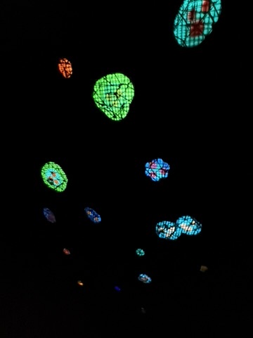 Osmosis in the Trees 2025 - Backlit mesh forms, glowing color cells