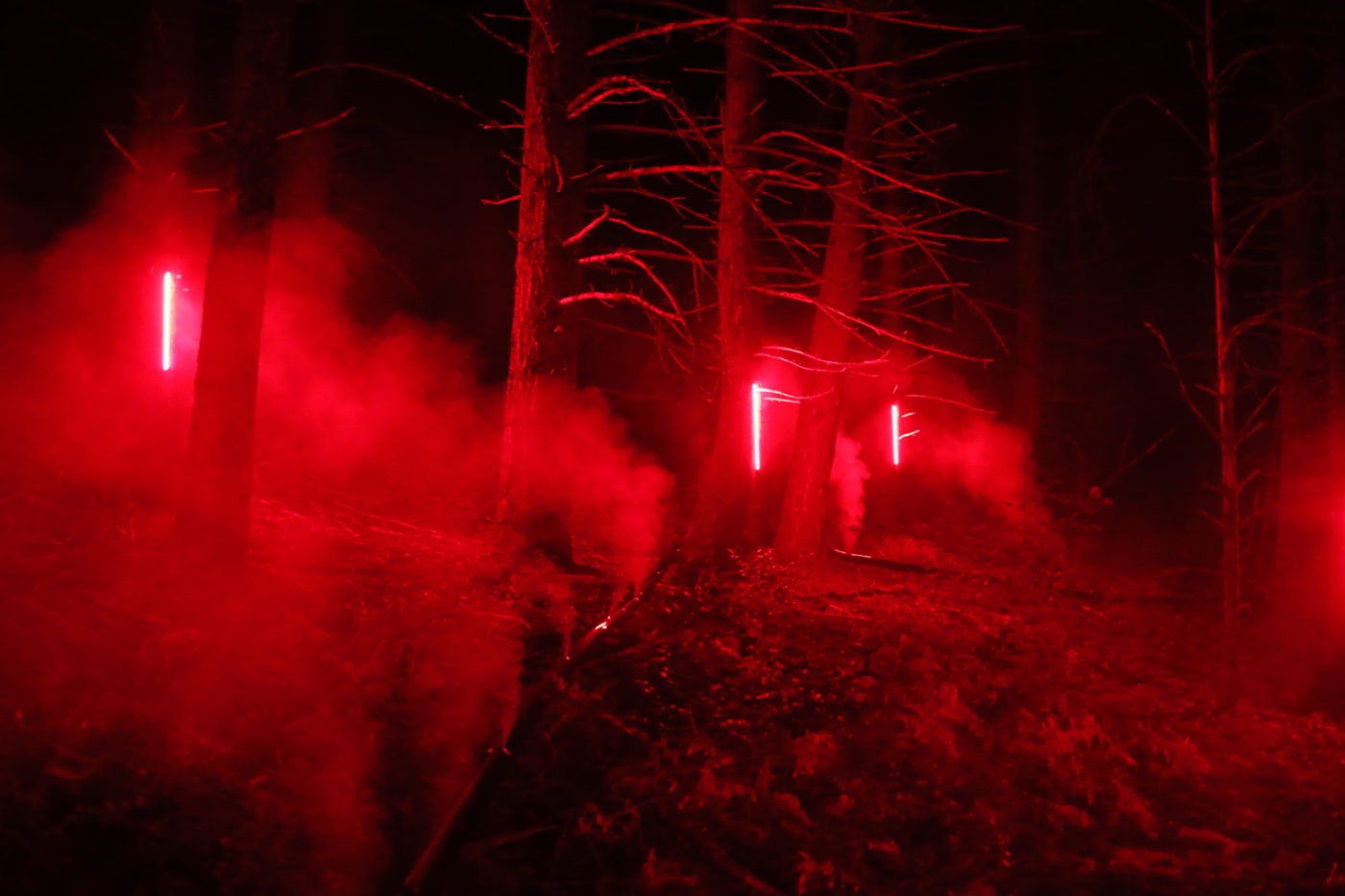 Osmosis in the Trees 2023 - Red-lit forest installation in the trees