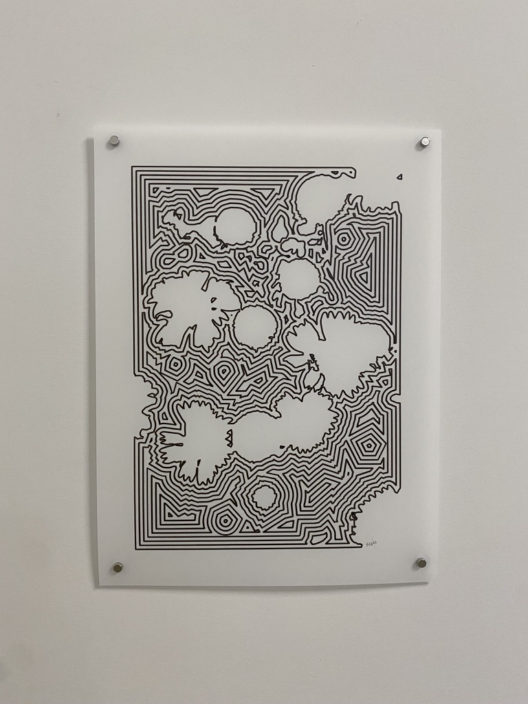 Yupo Plotter Drawings - Offset bands around organic islands