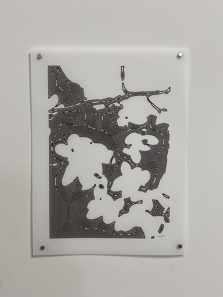Yupo Plotter Drawings - Contour islands and channels