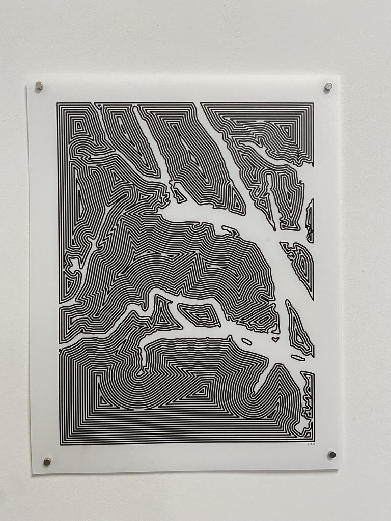 Yupo Plotter Drawings - Dense diagonal contour field