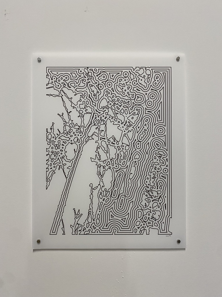 Yupo Plotter Drawings - Branch and undergrowth contours
