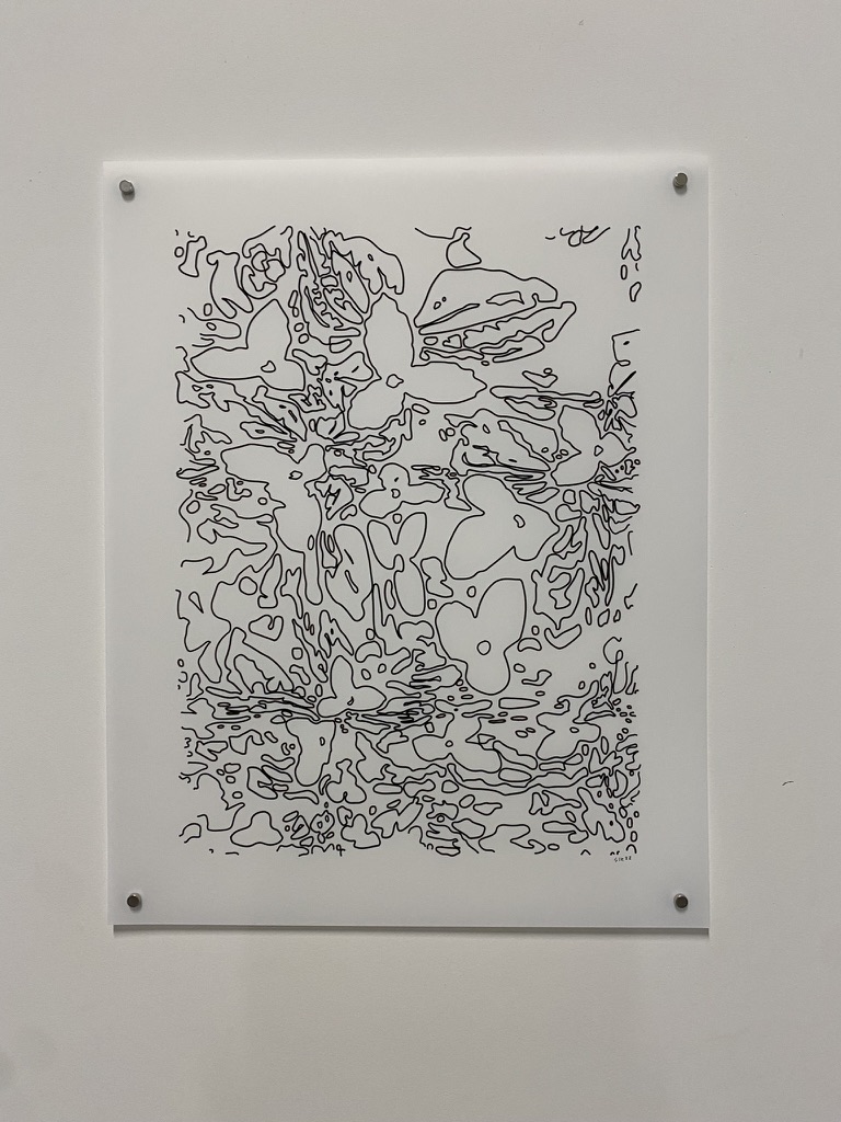 Yupo Plotter Drawings - Loose organic line scatter